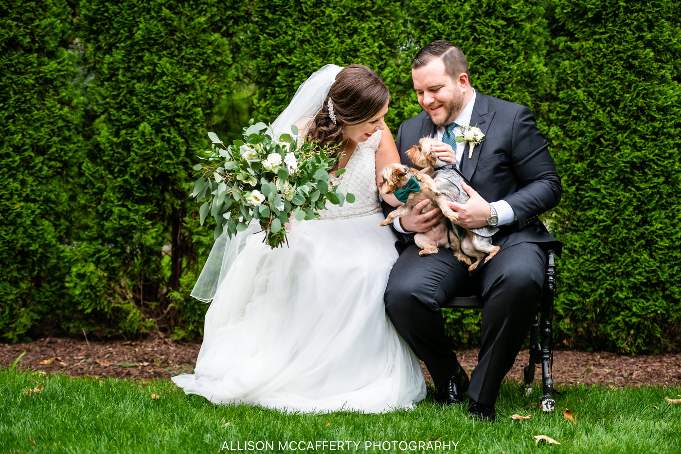 Wedding photo of a couple sitting on a bench at Bradford Estate in front of green hedges petting their two little dogs who were in the wedding