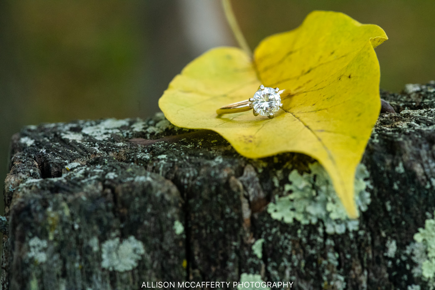 Mount Holly Engagement