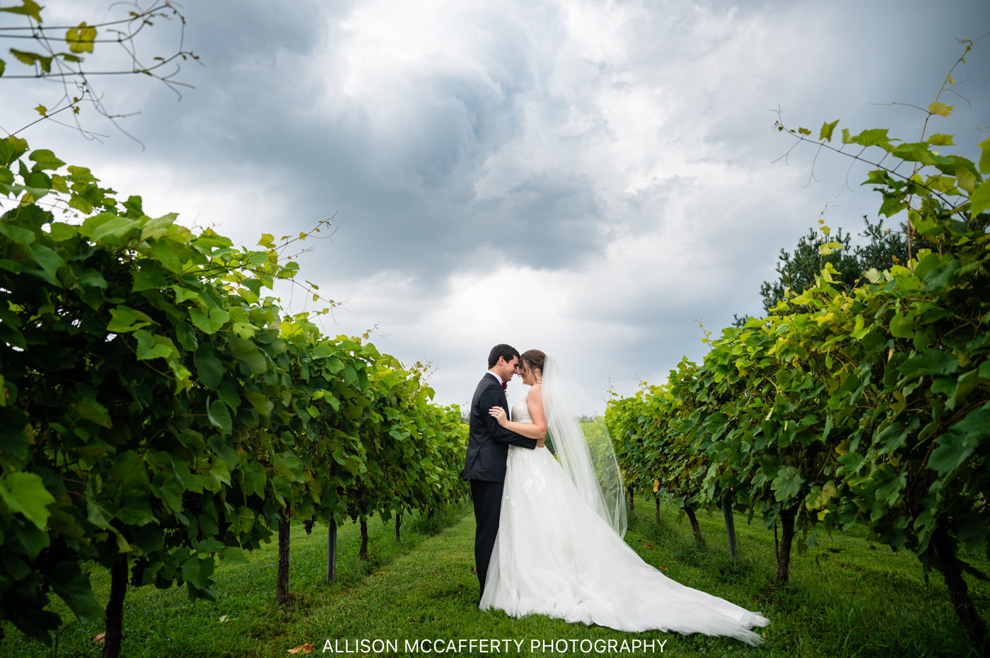 Valenzano's Winery Wedding Photographers