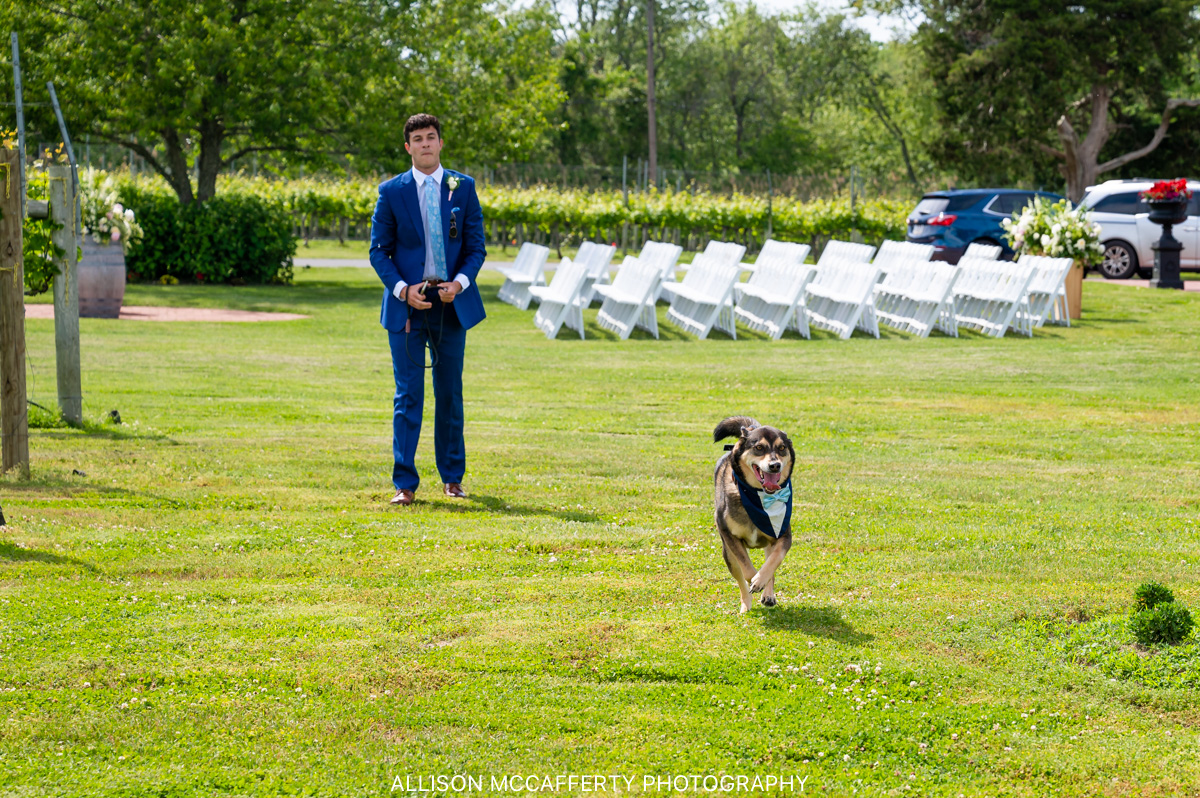 Willow Creek Winery Cape May Wedding Pictures