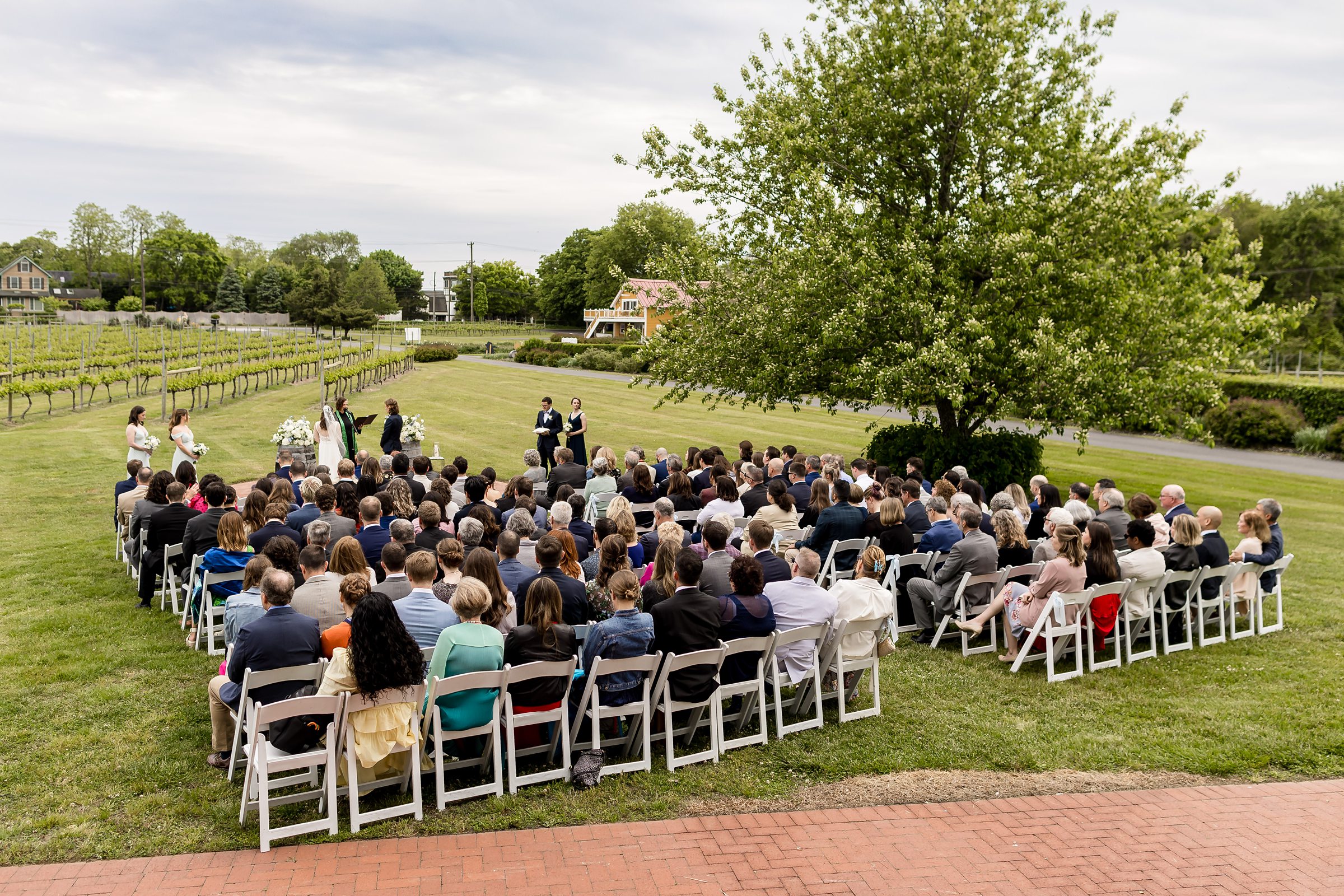 A large group of people seated outdoors at a wedding ceremony. The setting is a vineyard with green fields and trees in the background.